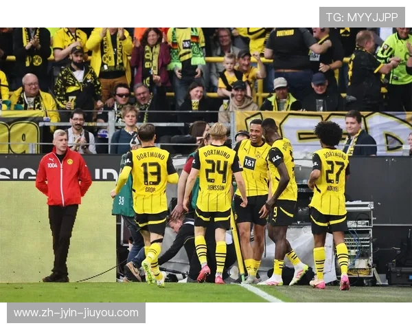 德甲球队霍芬海姆：发展历程与未来展望