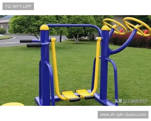 户外健身器材天梯图片及安装使用指南