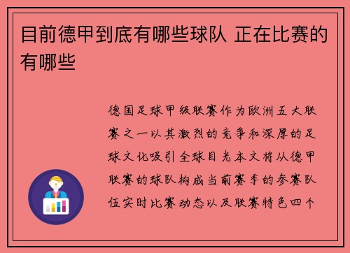 目前德甲到底有哪些球队 正在比赛的有哪些